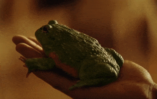 Toad GIF by The Weeknd