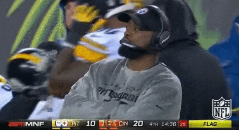 giphy.gif