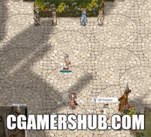 Ragnarok Online Ro GIF