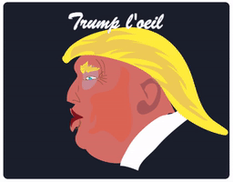 Trompe L'Oeil Trump GIF