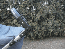 demon  GIF