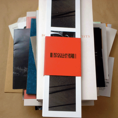 bbhijosa books this is not a list GIF