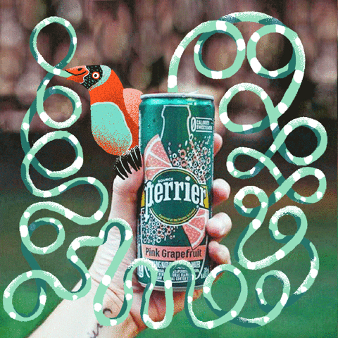 happy water GIF by Perrier