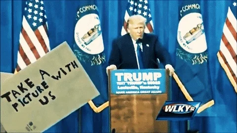 trump GIF