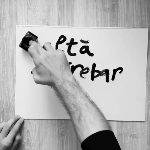 binescris calligraphy protest romania amnistie GIF