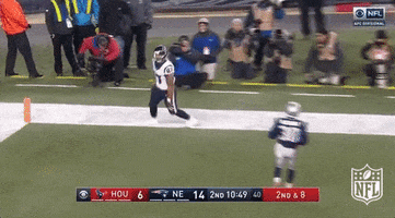 Excited Houston Texans GIF by NFL