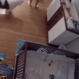 Tanja7  GIF