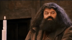 Hagrid meme gif
