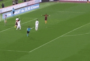 edin dzeko goal GIF by AS Roma
