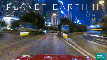 planet earth 2 car GIF by BBC Earth