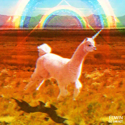 Unicorn Llama GIF by NonaRyder