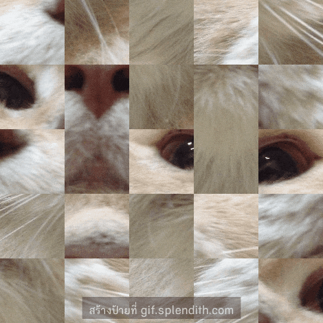 tchttouch  GIF