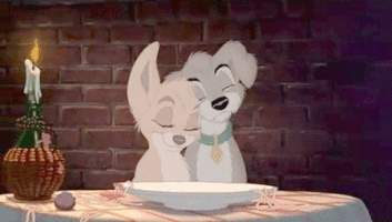 Movie gif. Two dogs from Lady and The Tramp cuddle up in front of a plate of spaghetti and a candlelit dinner.