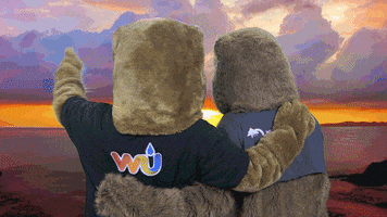 Sky Sunset GIF by Weather Underground