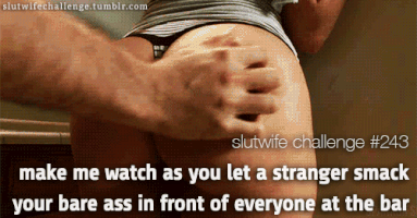 LGBTLiquorGunsBaconandTits  GIF