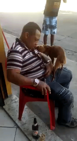 Yaw  GIF