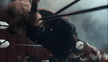 GIF by Freakshow Wrestling