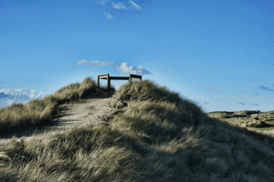 dnunis barnbougle GIF