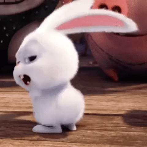 olesiatelegina  GIF