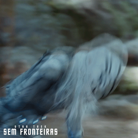 paramountbrasil  GIF