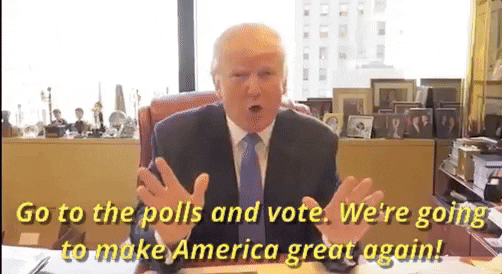 voting donald trump GIF by Election 2016