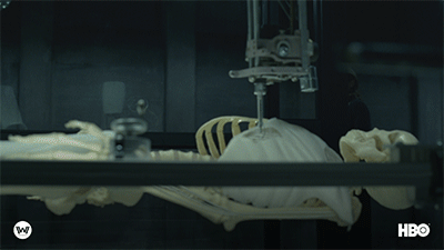 giphy.gif?cid=6c09b952xdn6ywdtqtdgtvq4yl