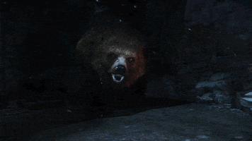 lara croft bear GIF by Tomb Raider