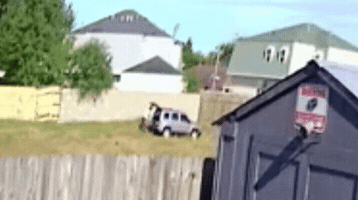 jnowak  GIF