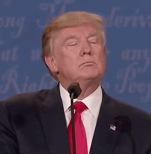 Donald Trump Water GIF by Election 2016 - Find & Share on GIPHY