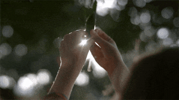qi  GIF