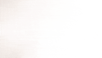 usa say what GIF by TipsyElves.com