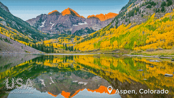 Colorado Aspen GIF by Visite os USA