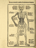 smithsonian libraries dancing by GIF IT UP