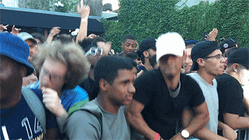 crowd GIF by Fool's Gold Records
