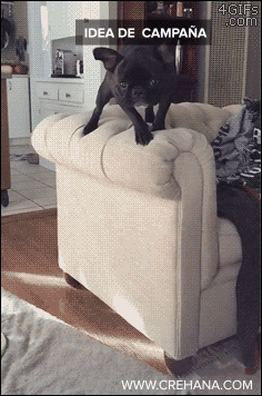 Type  GIF