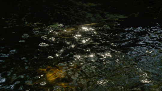 bubbles