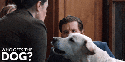 who gets the dog GIF by 20th Century Fox Home Entertainment