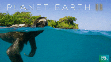 planet earth 2 love GIF by BBC Earth