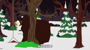bear running GIF by South Park 