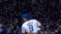 Go-cubs-go GIFs - Get the best GIF on GIPHY