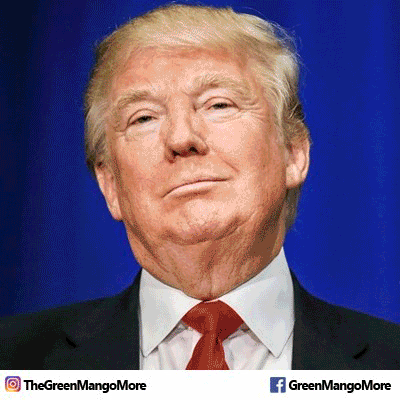 greenmangomore trump donald trump clinton hilary clinton GIF