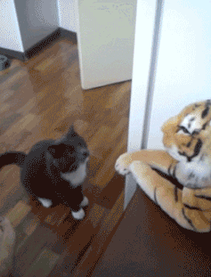 fleeur  GIF