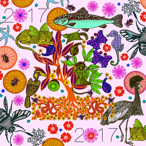 michaelcailloux 2017 happynewyear michaelcailloux bonneannÃ©e GIF