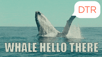 Opening Hello GIF by DTR