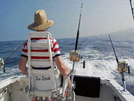 toad  GIF