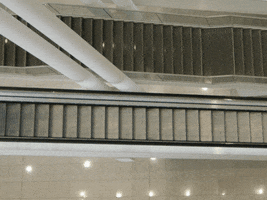 slide stairs GIF by Red Bull