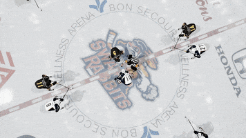 video game hockey GIF by Greenville Swamp Rabbits