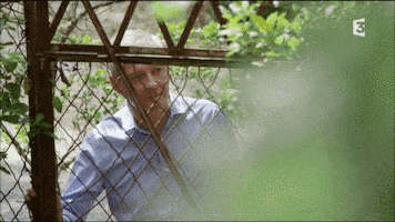bruno le maire wtf GIF by franceinfo