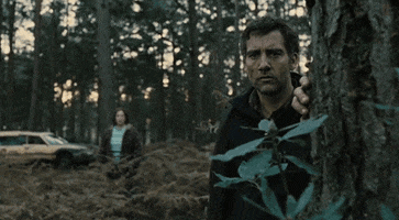 elenacsivovol  GIF