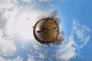 anatoleya nature london planet birds GIF